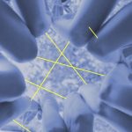 ANUDAR  | Fira de Sant Andreu-Almassora